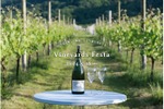 ぶどう畑でワインとフードを楽しむイベント「Vineyards Festa2024」開催！ 画像