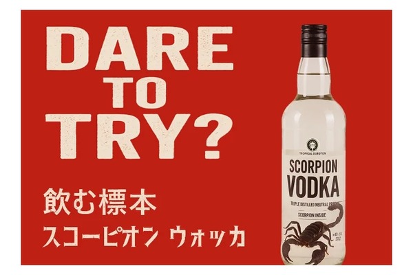 飲む標本”ってなんだ！？】大型サソリ入り酒「ブラックスコーピオン