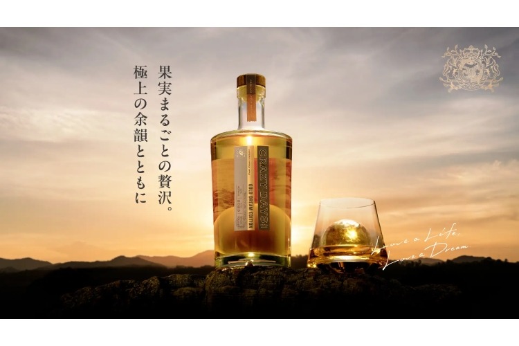 超貴重品！ハーレムシャッフル　ゴールドディスク 超貴重品！ハーレムシャッフルゴールドディスク