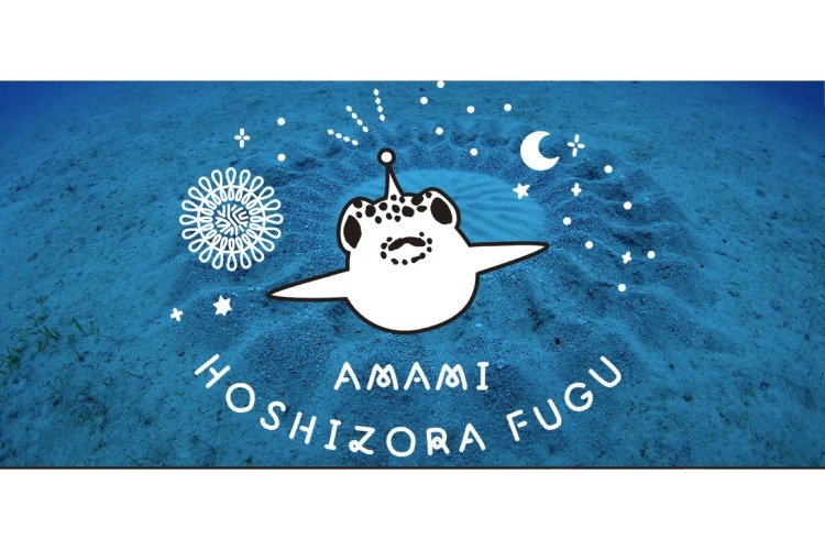 梅雨シーズン限定クラフトビール！】奄美が詰まった「AMAMI BLUE