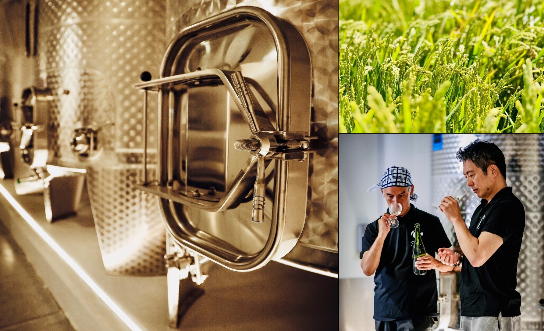 日本の伝統×フランス ボルドーの地が調和した清酒蔵「SAKÉ DE BORDEAUX