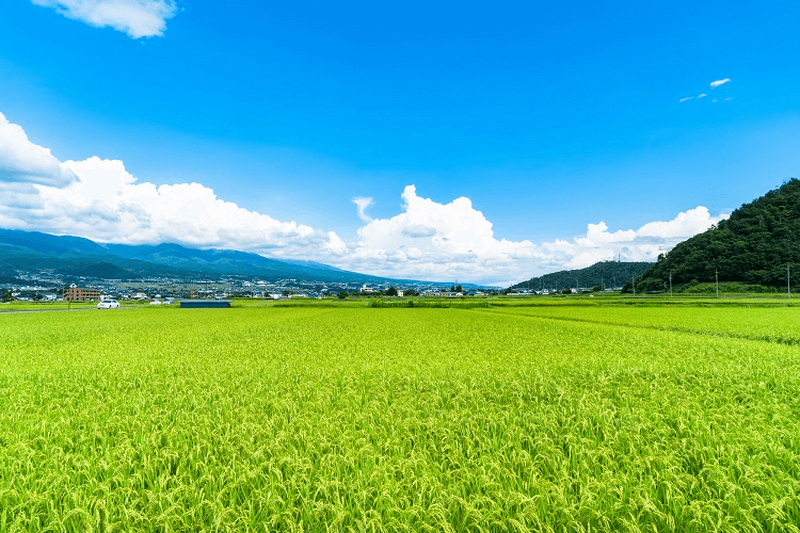 華やかで優しい日本酒「鳳凰美田」美味しさの秘密を徹底解説！