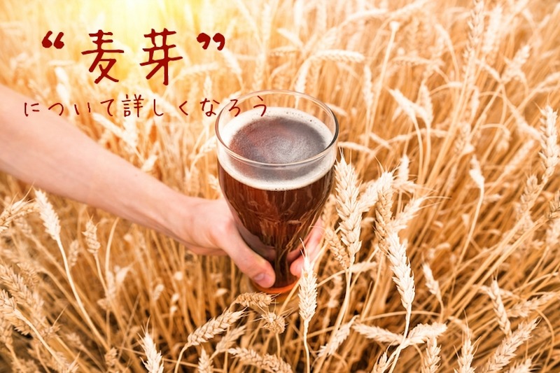 【ビール豆知識】ビールの味を左右する！？麦芽について詳しくなろう！