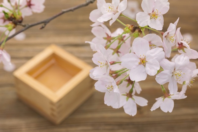 室内でお花見！？日本酒専門店で「エア花見」と「花見酒」を楽しもう