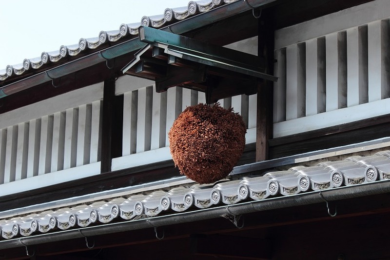 うどんだけじゃない！香川県・讃岐の魅力を感じる日本酒「川鶴」をご紹介