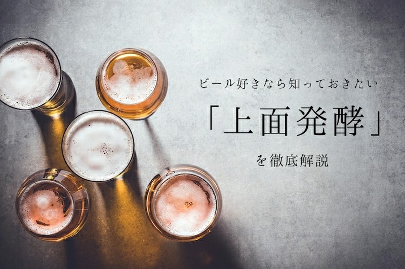 ビール好きなら知っておきたい基礎知識！！「上面発酵」を徹底解説