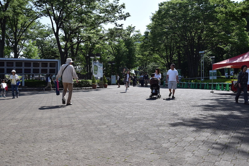 いま”競馬場飲み”がアツイ！初心者の私が「東京競馬場」を満喫してきた