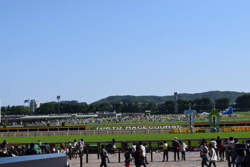 いま”競馬場飲み”がアツイ！初心者の私が「東京競馬場」を満喫してきた