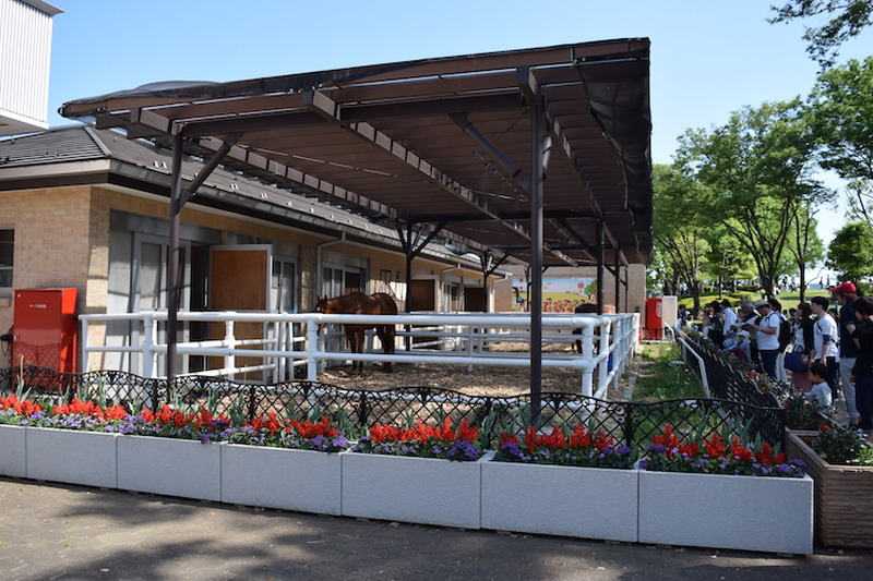 いま”競馬場飲み”がアツイ！初心者の私が「東京競馬場」を満喫してきた