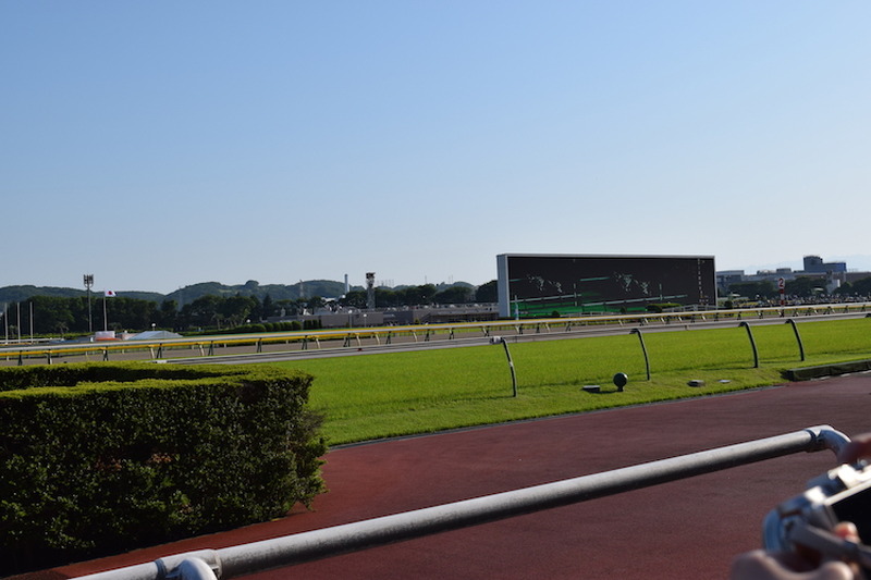 いま”競馬場飲み”がアツイ！初心者の私が「東京競馬場」を満喫してきた