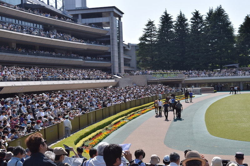 いま”競馬場飲み”がアツイ！初心者の私が「東京競馬場」を満喫してきた