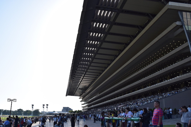 いま”競馬場飲み”がアツイ！初心者の私が「東京競馬場」を満喫してきた