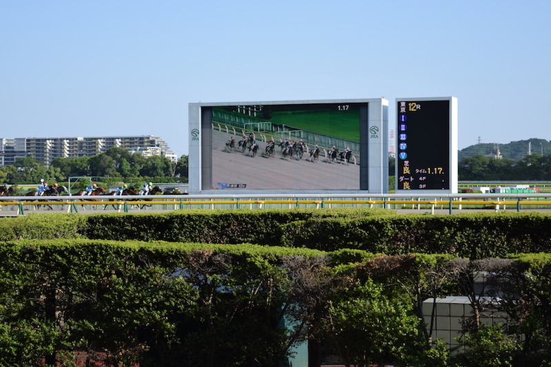 いま”競馬場飲み”がアツイ！初心者の私が「東京競馬場」を満喫してきた