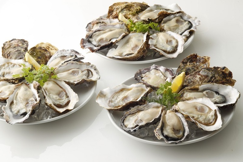 真牡蠣が50%OFF・岩牡蠣は30%OFF！『ゼネラル・オイスター』で【真牡蠣】と【岩牡蠣】を食べ比べよう！