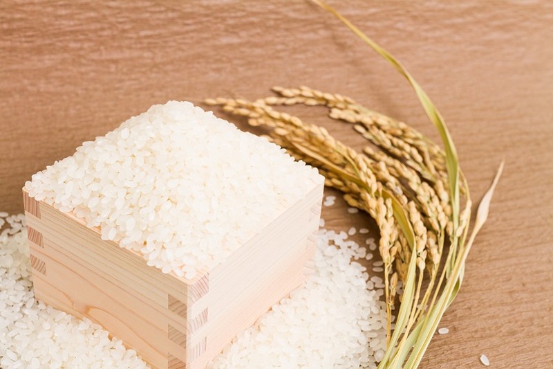 麹米・掛米・酒母米？ややこしい日本酒に使われる米についてまとめてみた
