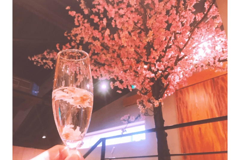 店内設置の桜オブジェで“#インドア花見”を満喫！【北の家族 有楽町本店】で限定メニューも登場