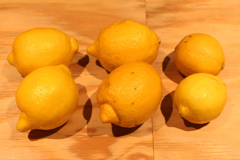 悶絶のレモン食べ比べ！レモンの種類でレモンサワーの味は変わるのか検証してみた