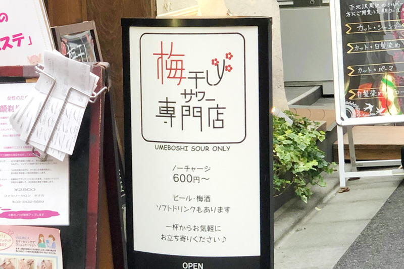 「梅干しサワー専門店」が教える！“本当に美味しい”梅干しサワーの作り方