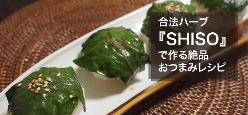 shiso