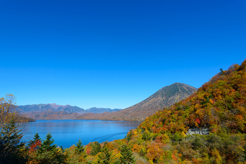 栃木県