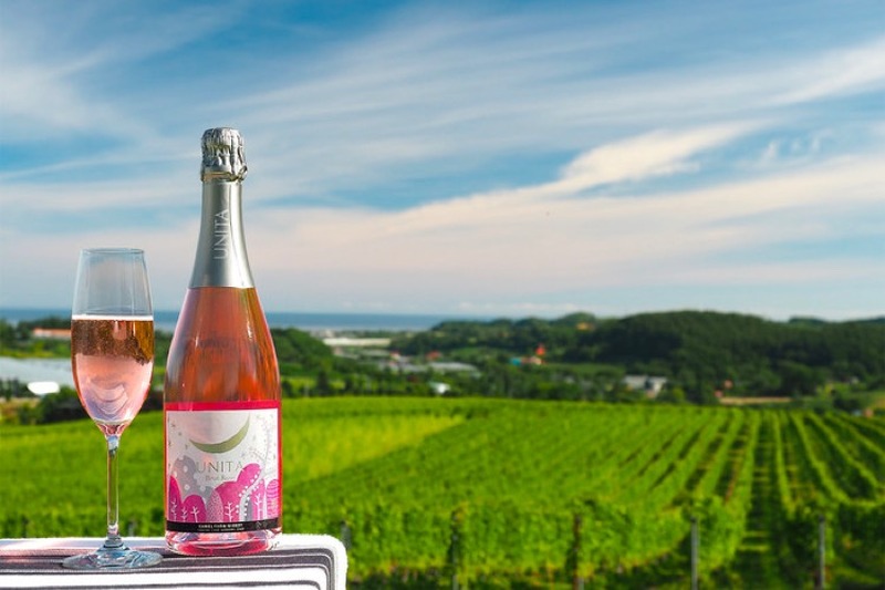 「ウニタ ブリュット ロゼ 2019」「ケルナー 2019」注目のワイン2種が新発売