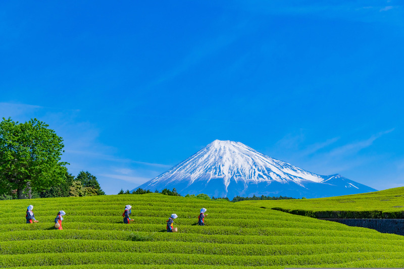 静岡