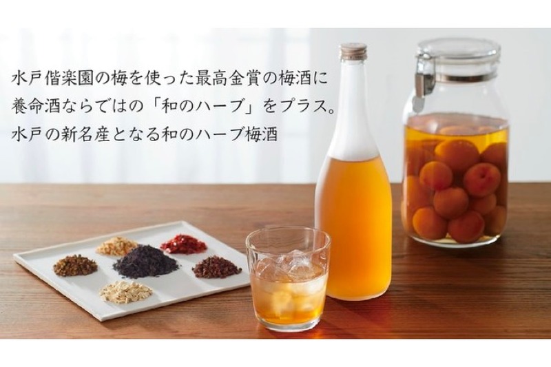 薬草文化を継承していく！新たな水戸の名産品「和のハーブ梅酒」を造るプロジェクトが開始