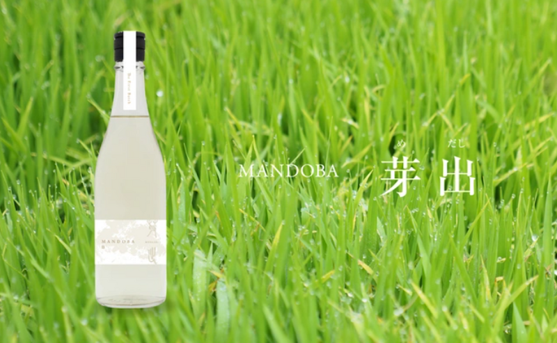 新潟のデザイン会社らが造る農薬・化学肥料不使用日本酒「MANDOBA」がMakuakeにて販売中！