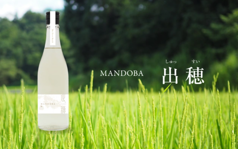 新潟のデザイン会社らが造る農薬・化学肥料不使用日本酒「MANDOBA」がMakuakeにて販売中！