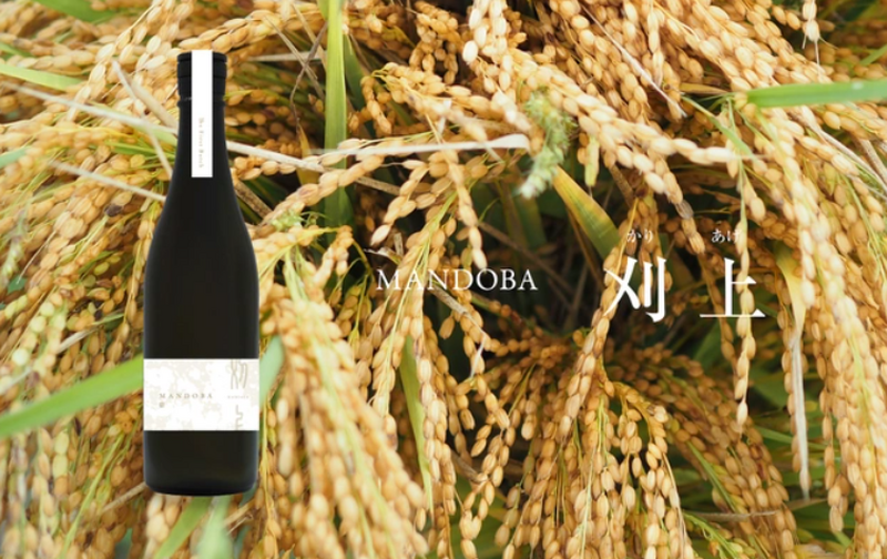 新潟のデザイン会社らが造る農薬・化学肥料不使用日本酒「MANDOBA」がMakuakeにて販売中！