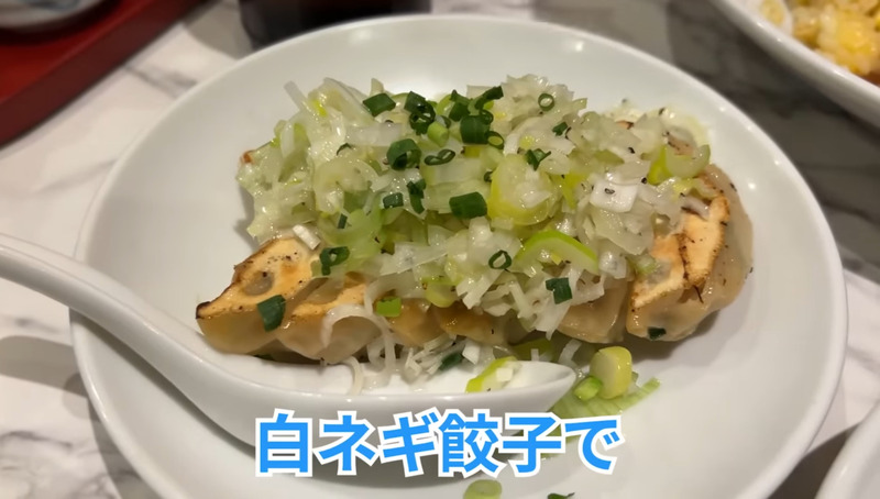 【居酒屋レポ動画】名物“牛すじチャーハン”は酒が進む！秋葉原「雁川」は酒飲みなら行くべき中華屋だ