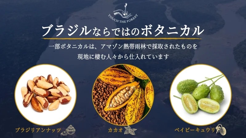【世界的な賞に輝く