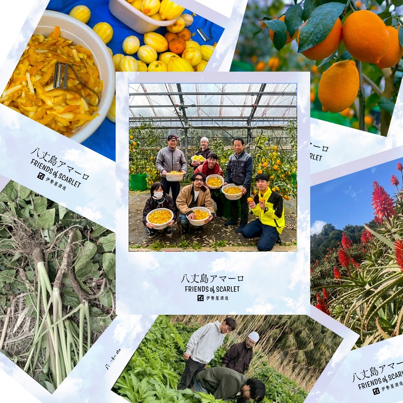 【日本で稀有な薬草酒！】国産アマーロ「SCARLET®︎ 八丈島AMARO」発売