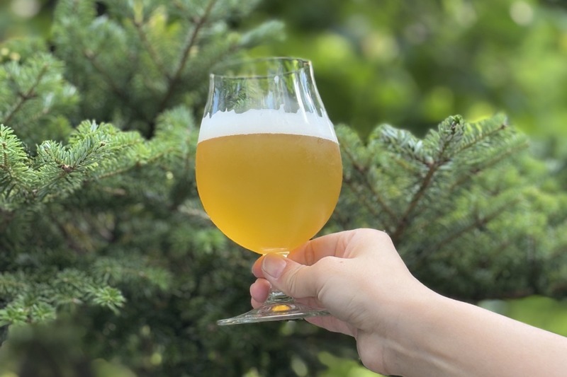 【森の香りを纏った1本！よなよなビアワークス限定クラフトビール】第42弾「WORKS Ale#42 Forest Echo IPA」提供
