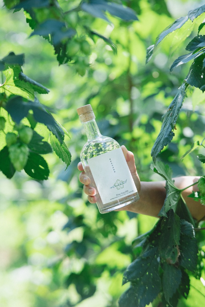 【収穫から1時間の採れたてホップ使用！】クラフトジン「naturadistill紫蘇忽布蒸溜酒」発売
