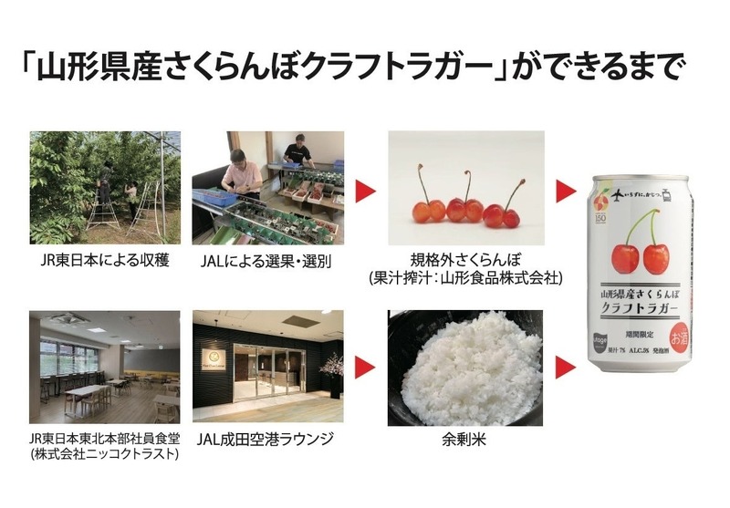 【規格外のさくらんぼを活用！】「山形県産さくらんぼクラフトラガー」販売