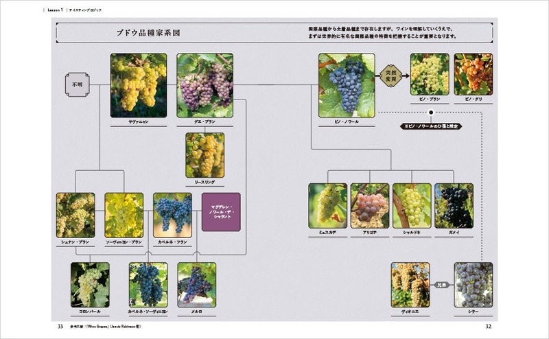 【ソムリエ歴23年・講師歴16年の著者による中級者向けワインガイド！】「THE STUDY OF WINE」発売