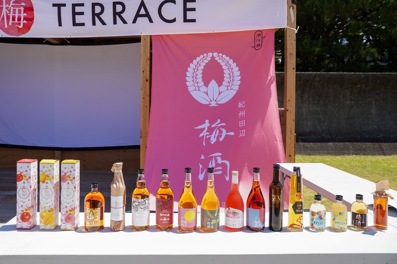 【100種の梅酒が登場！】「紀州田辺の梅酒を愛でる9日間 in 学大高架下　梅酒って、こんなに楽しいの！？」開催