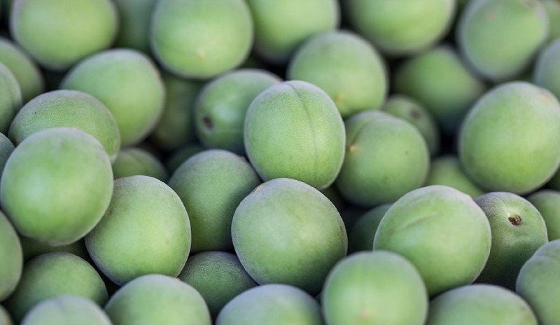 【希少梅100%！】梅の新しい魅力「香り」に焦点を当てたクラフトジン「mume GIN」販売