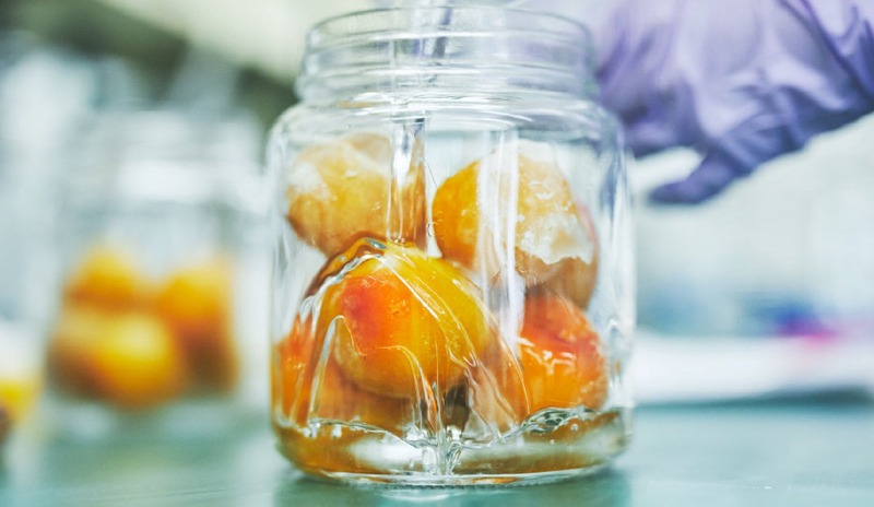 【希少梅100%！】梅の新しい魅力「香り」に焦点を当てたクラフトジン「mume GIN」販売