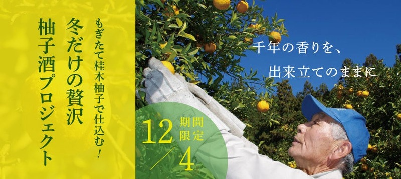 【12月に採れた柚子をお酒に！】「もぎたて桂木柚子で仕込む！冬だけの贅沢柚子酒プロジェクト」販売