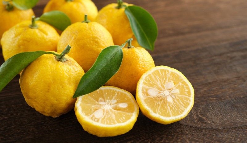 【12月に採れた柚子をお酒に！】「もぎたて桂木柚子で仕込む！冬だけの贅沢柚子酒プロジェクト」販売