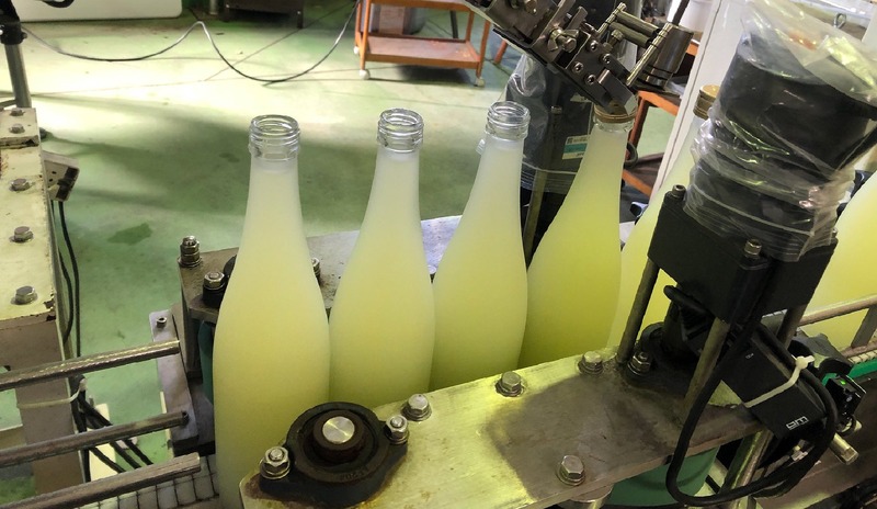 【12月に採れた柚子をお酒に！】「もぎたて桂木柚子で仕込む！冬だけの贅沢柚子酒プロジェクト」販売