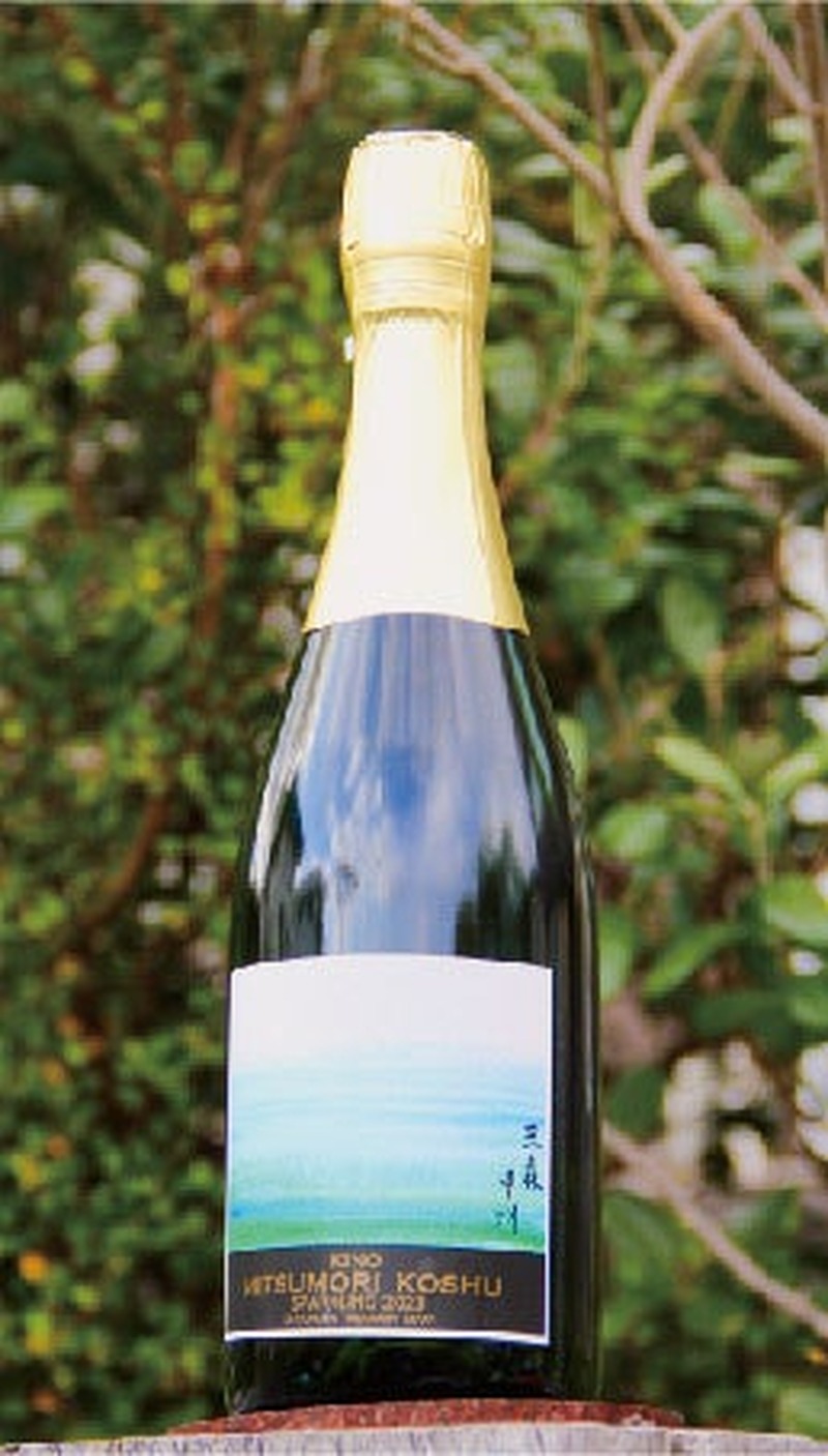 【指定文化財・樹齢110年の原木から枝分けした葡萄を醸造！】希少な「三森甲州」ワイン3種が発売