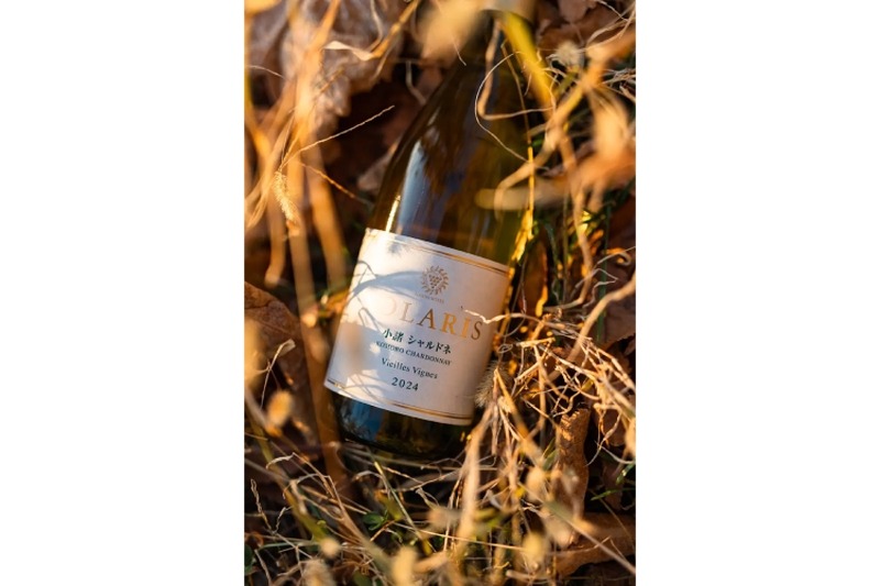 【樹齢35年超え！希少な小諸産シャルドネを厳選】「ソラリス 小諸 シャルドネ ヴィエイユ・ヴィーニュ2024」新ヴィンテージがリリース