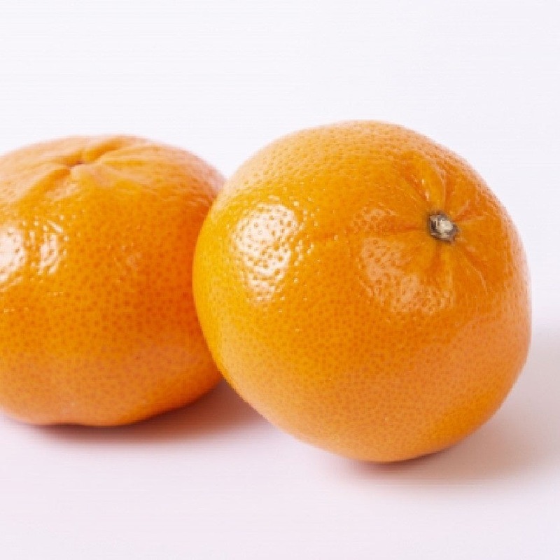 【果実のお酒の専門蔵の