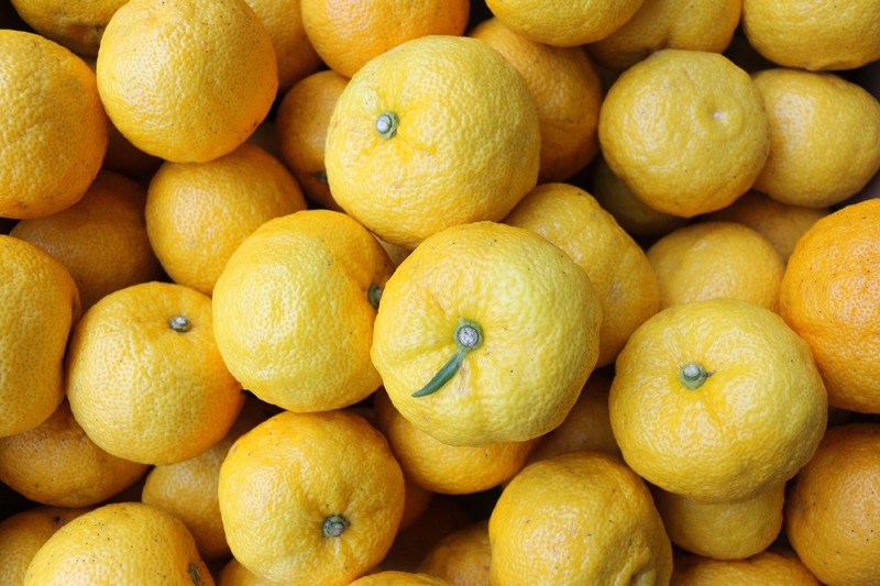 【お正月に干支デザインの瓶ビールはいかが！？】「賀正ビール柚子 2026 干支ラベル 午」が発売