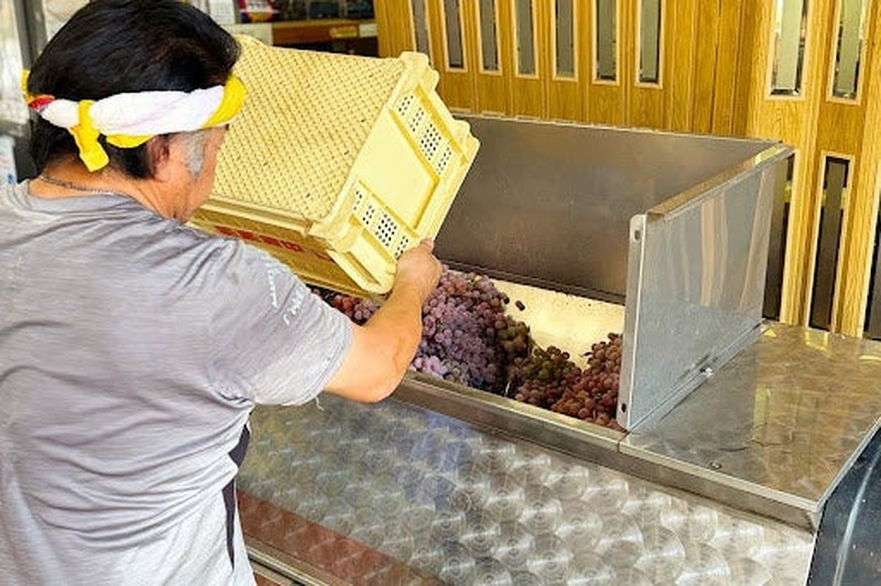 【甲州ぶどうのクラフトジン！】ワイン県ならではの1本「山梨県ジン by agataJapan」販売