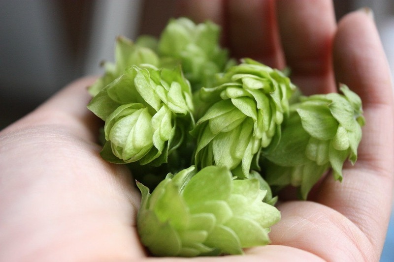 【麦のワイン登場！】ワイン並の高アルコール&ワインのように長期熟成できる「ビール」2種類が限定発売