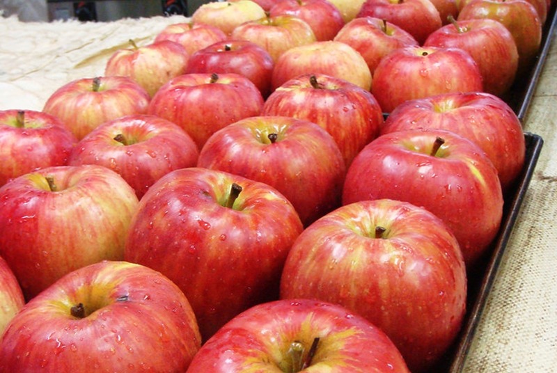 【まるで飲むケーキのビール！】冬季限定のデザートビール「ウィンターフルーツタルトエール」発売